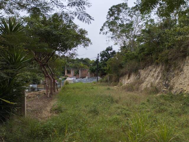 Terreno para Venta en Túxpam - 5