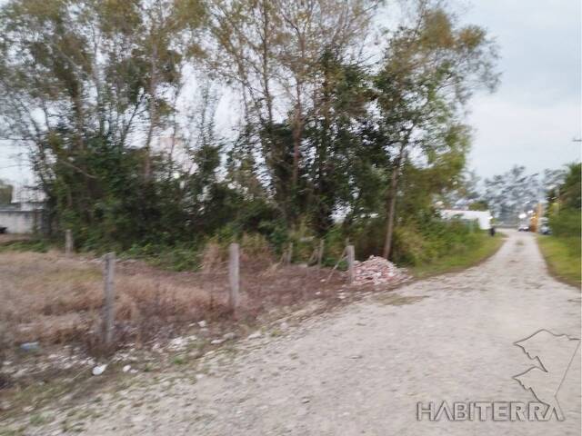 #TV-3281 - Terreno para Venta en Túxpam - VZ