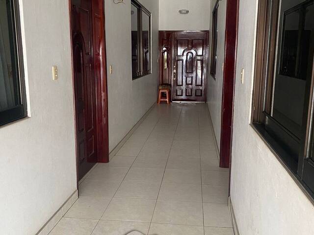 Departamento para Renta en Túxpam - 4