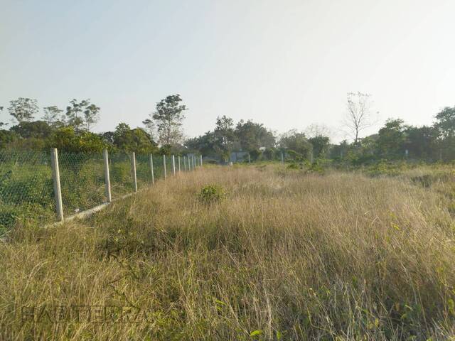 #TV-3291 - Terreno para Venta en Túxpam - VZ