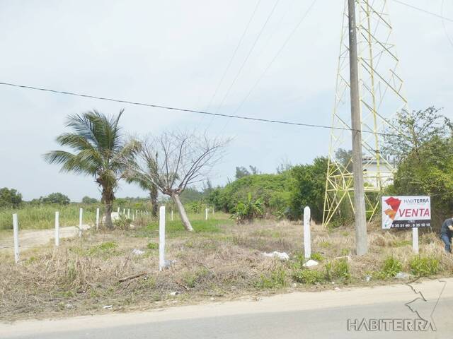 #TV-3301 - Terreno para Venta en Túxpam - VZ