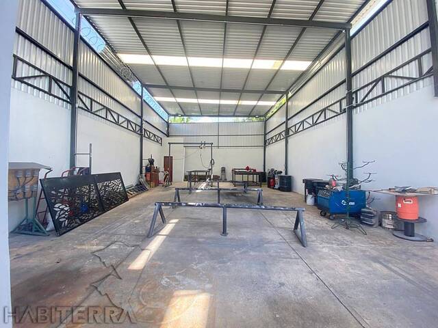 Bodega para Renta en Túxpam - 5