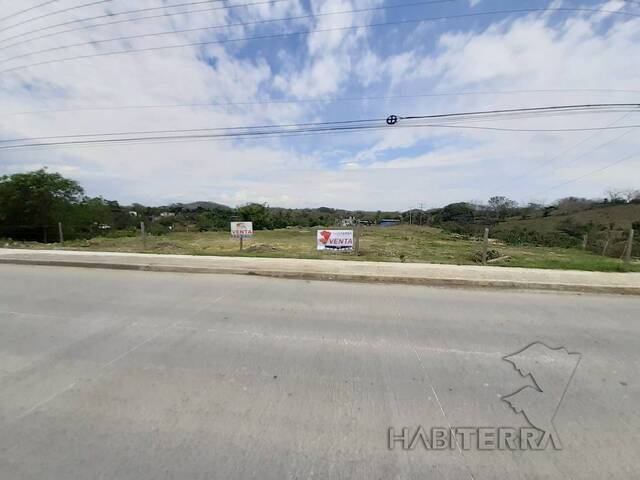 #TV-3307 - Terreno para Venta en Túxpam - VZ