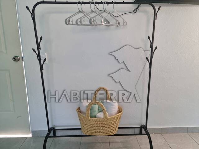 Departamento para Renta en Túxpam - 4