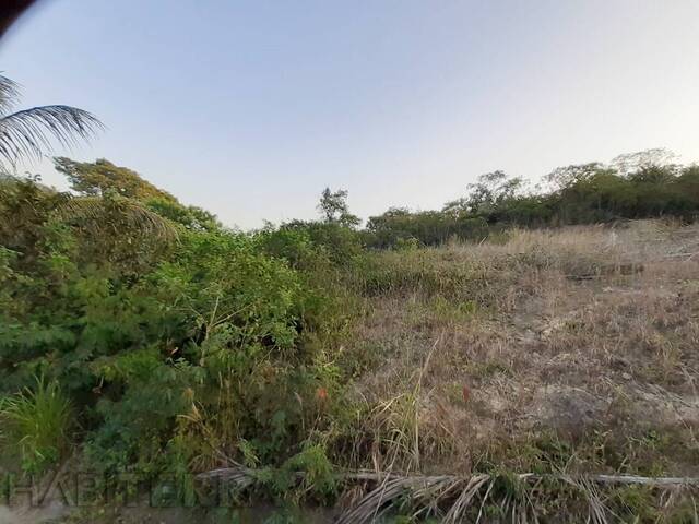Terreno para Venta en Túxpam - 4