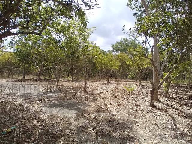 Terreno para Venta en Túxpam - 5