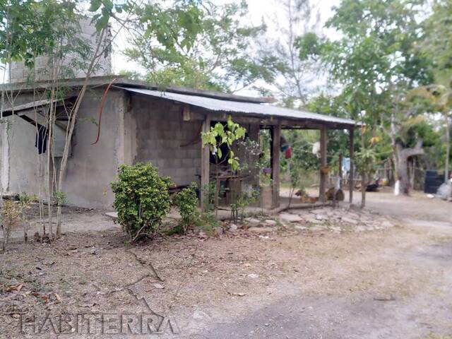 Venta en Rancho o rancheria Ojite - Túxpam