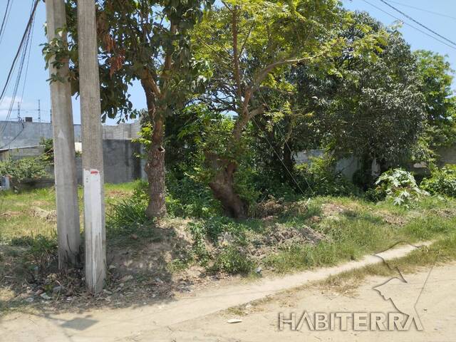 #TV-3356 - Terreno para Venta en Túxpam - VZ