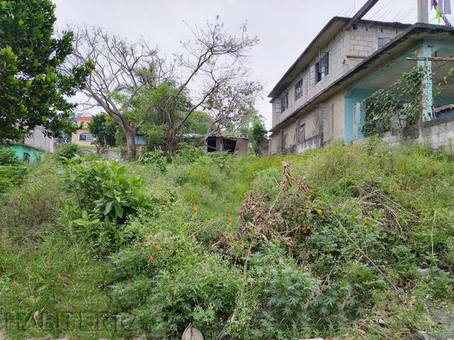 Terreno para Venta en Túxpam - 4