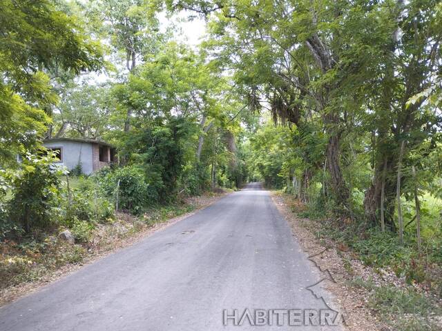 Terreno para Venta en Túxpam - 4