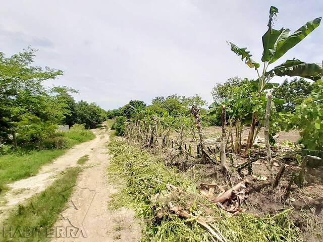 Terreno para Venta en Túxpam - 5