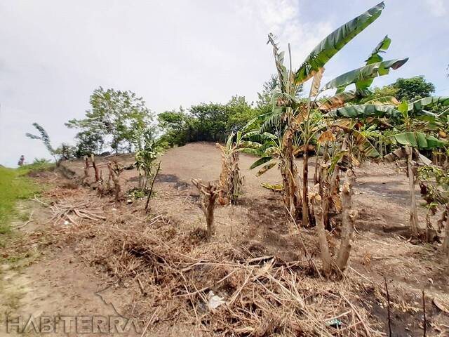 Terreno para Venta en Túxpam - 4