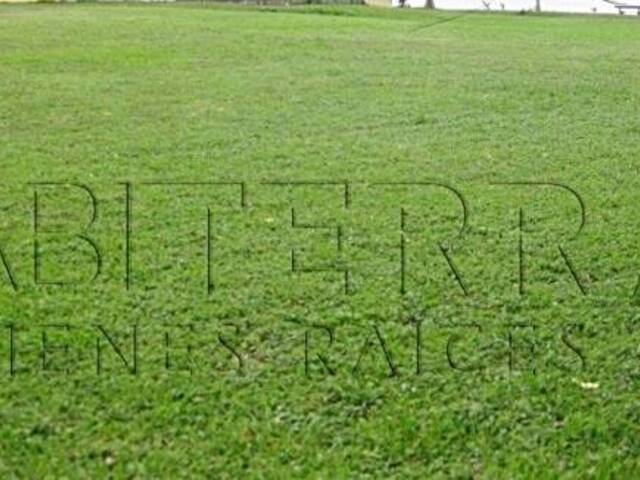Terreno para Venta en Túxpam - 5