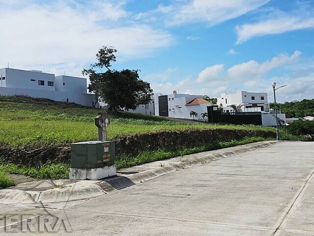 #TV - 3392 - Terreno para Venta en Túxpam - VZ