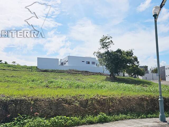Terreno para Venta en Túxpam - 4