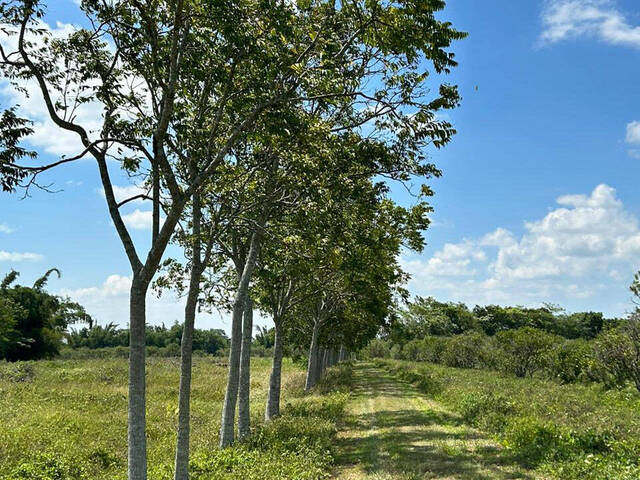 Terreno para Venta en Túxpam - 5