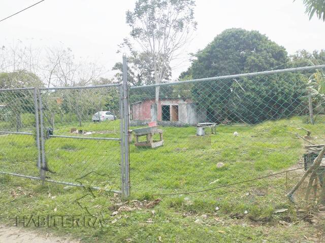 #TV-3409 - Terreno para Venta en Túxpam - VZ - 1