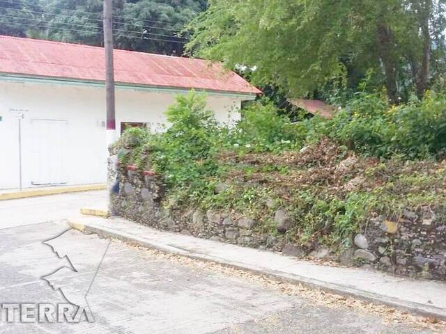 #TV-3414 - Terreno para Venta en Tantima - VZ - 2