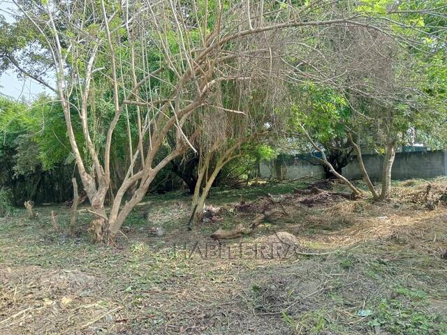 #TV-3462 - Terreno para Venta en Túxpam - VZ - 1