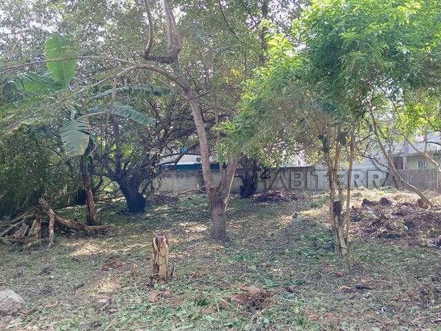 #TV-3462 - Terreno para Venta en Túxpam - VZ - 2