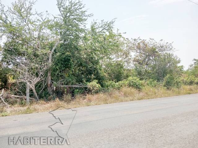 #TV-3467 - Terreno para Venta en Túxpam - VZ - 1