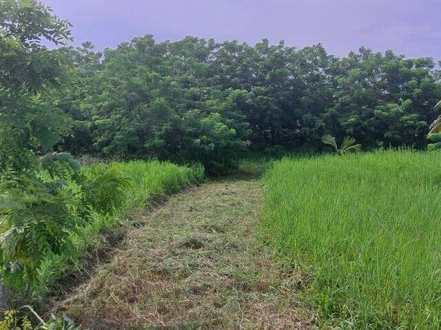 #TV-3471 - Terreno para Venta en Túxpam - VZ - 2