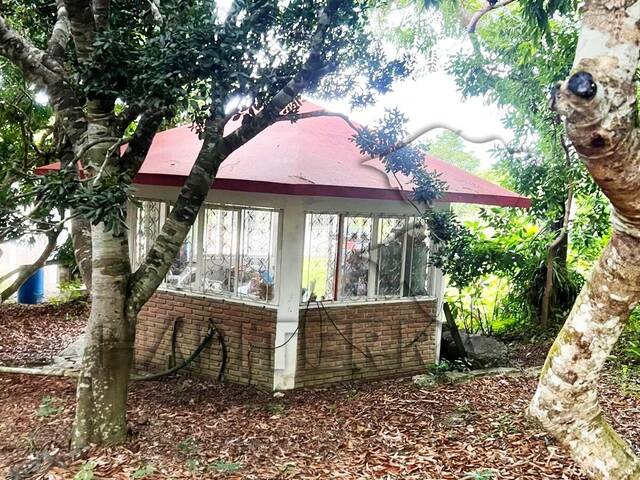 Terreno para Venta en Túxpam - 4