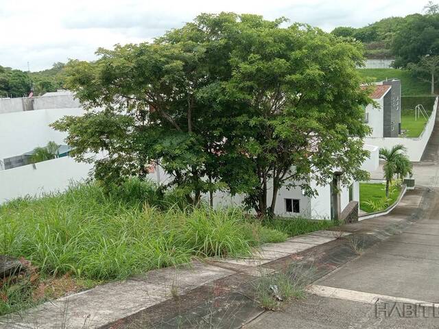 Venta en Lomas de Jardines - Túxpam