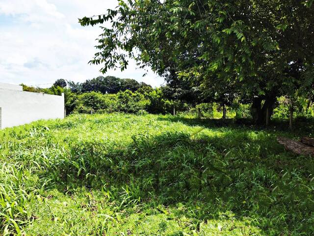 #TV-3486 - Terreno para Venta en Túxpam - VZ - 2