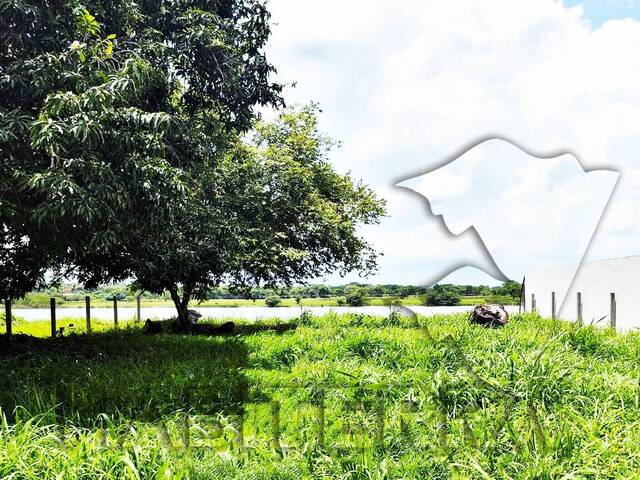 Venta en Isla de Juana Moza - Túxpam