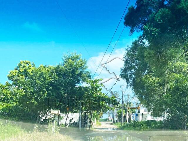 #TV-3489 - Terreno para Venta en Túxpam - VZ - 2