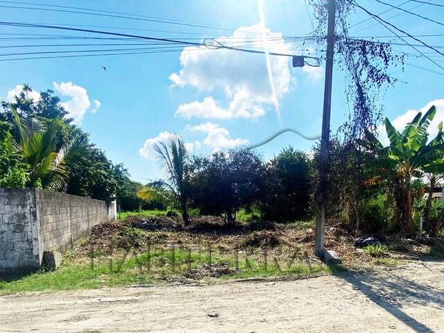 Terreno para Venta en Túxpam - 4