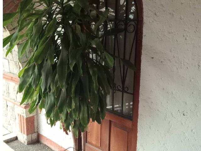 #DR-3494 - Departamento para Renta en Túxpam - VZ - 1