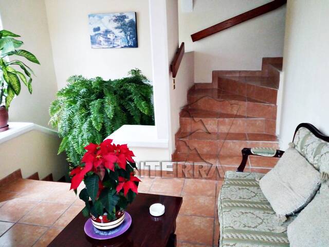 Departamento para Renta en Túxpam - 4
