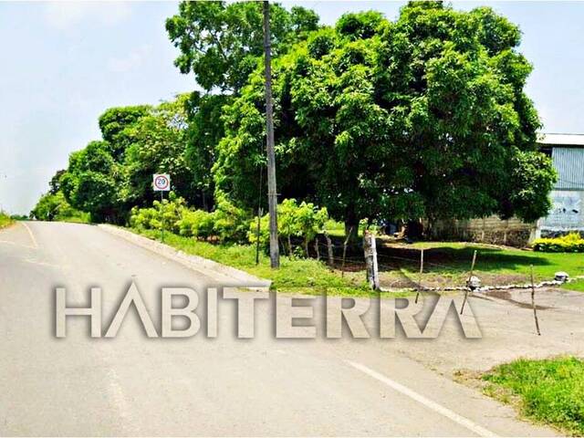 #TVyR-3498 - Terreno para Venta en Túxpam - VZ - 3