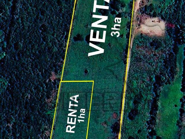 Terreno para Venta en Túxpam - 5