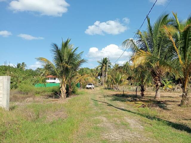 #TV-3505 - Terreno para Venta en Túxpam - VZ - 3