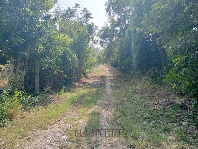 #TV-3507 - Terreno para Venta en Túxpam - VZ - 2