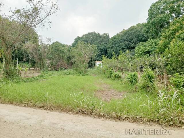 Terreno para Venta en Túxpam - 4