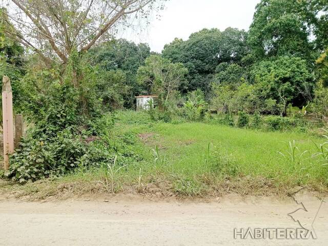 Terreno para Venta en Túxpam - 5