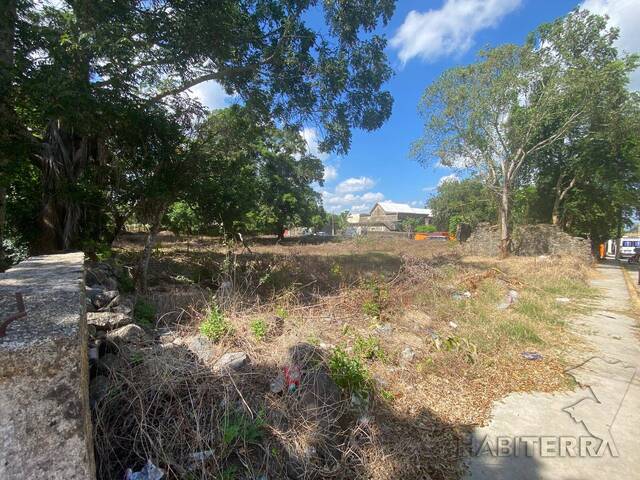 Área para Venta en Tantima - 5