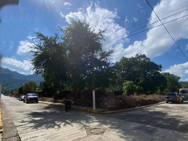 Venta en CENTRO - Tantima