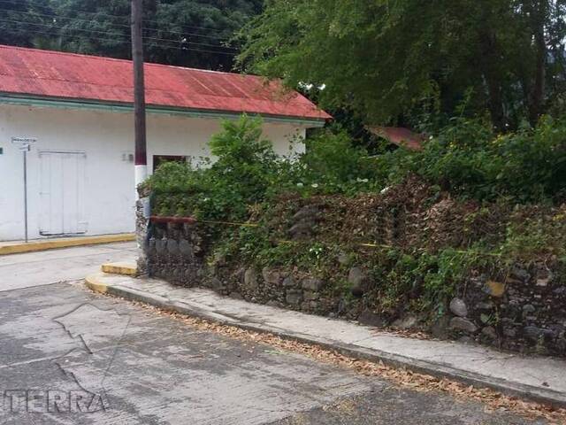 #TV-3521 - Área para Venta en Tantima - VZ - 2