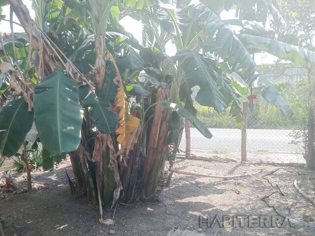 Casa para Venta en Túxpam - 5