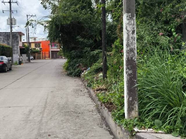Terreno para Venta en Poza Rica de Hidalgo - 4