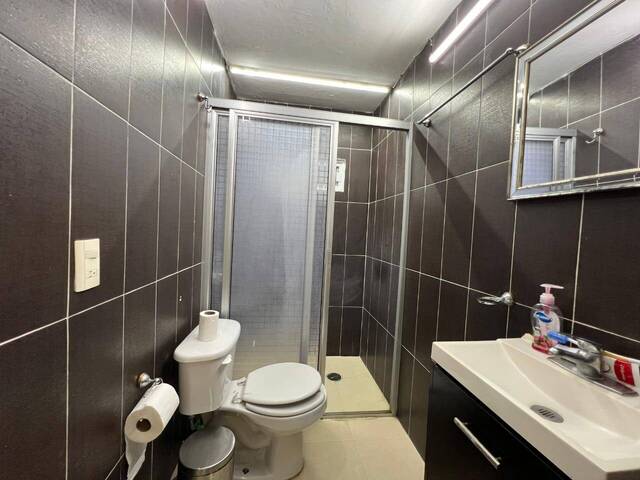Departamento para Renta en Túxpam - 4
