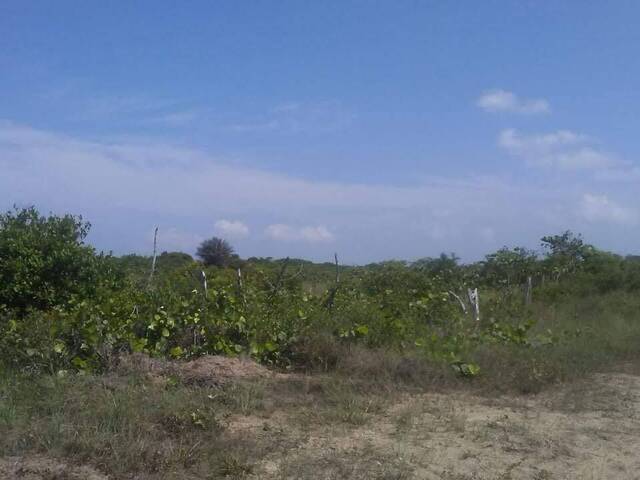 Terreno para Venta en Tamiahua - 5