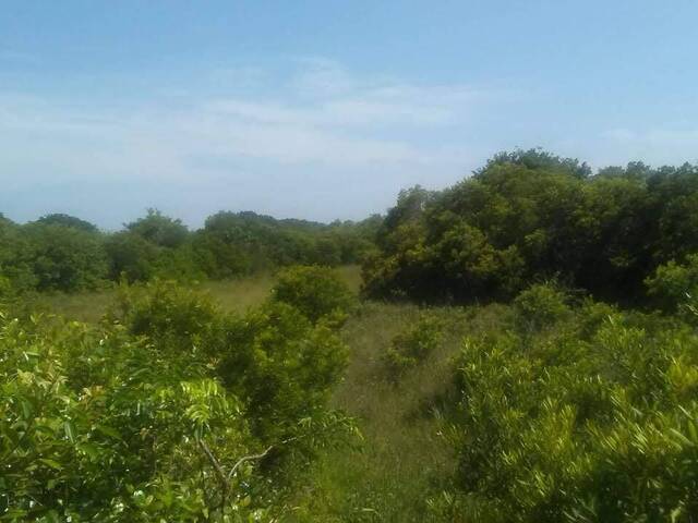 Terreno para Venta en Tamiahua - 4