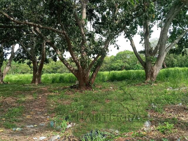 Terreno para Venta en Túxpam - 4