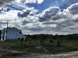#TV-1710 - Terreno para Venta en Túxpam - VZ